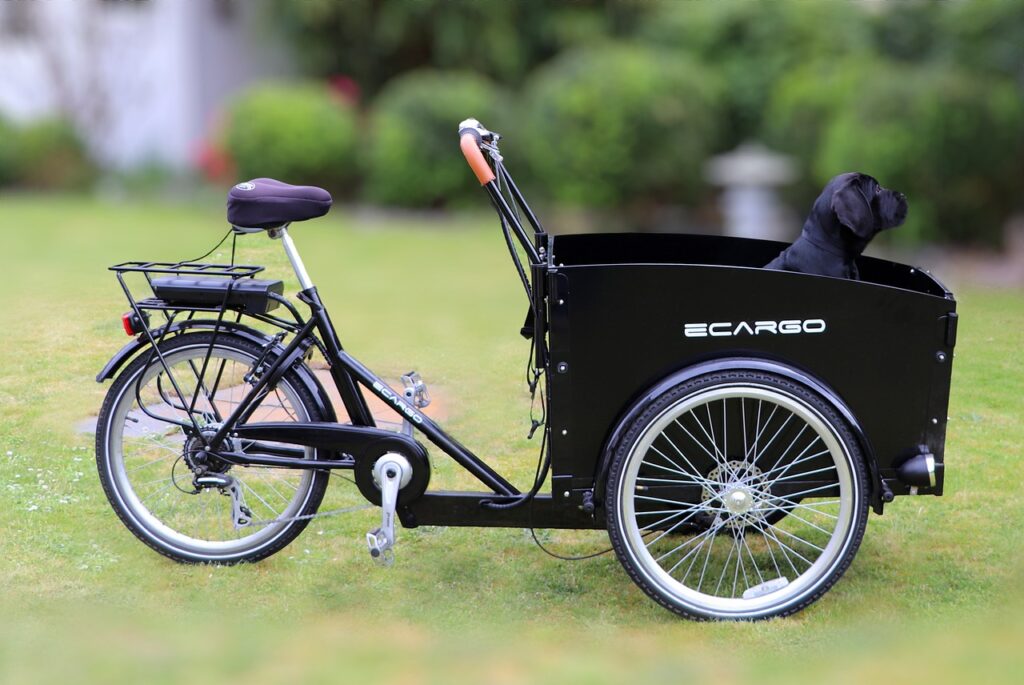 velo cargo electrique