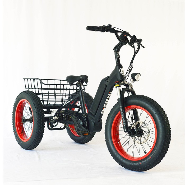 velo cargo electrique 2024